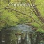 Browntrout: Connecticut Wild & Scenic 2025 12 X 24 Inch Monthly Square Wall Calendar Plastic-Free, KAL