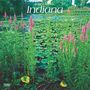 Browntrout: Indiana Wild & Scenic 2025 12 X 24 Inch Monthly Square Wall Calendar Plastic-Free, KAL