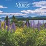Browntrout: Maine Wild & Scenic 2025 12 X 24 Inch Monthly Square Wall Calendar Plastic-Free, KAL