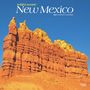 Browntrout: New Mexico Wild & Scenic 2025 12 X 24 Inch Monthly Square Wall Calendar Plastic-Free, KAL