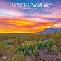 Browntrout: Texas Nature 2025 12 X 24 Inch Monthly Square Wall Calendar Plastic-Free, KAL