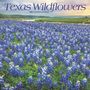 Browntrout: Texas Wildflowers 2025 12 X 24 Inch Monthly Square Wall Calendar Plastic-Free, KAL