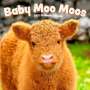 Browntrout: Baby Moo Moos 2025 12 X 24 Inch Monthly Square Wall Calendar Plastic-Free, KAL