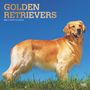 Browntrout: Golden Retrievers 2025 12 X 24 Inch Monthly Square Wall Calendar Foil Stamped Cover Plastic-Free, KAL