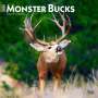 Browntrout: Monster Bucks 2025 12 X 24 Inch Monthly Square Wall Calendar Plastic-Free, KAL