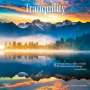 Browntrout: Tranquility 2025 12 X 24 Inch Monthly Square Wall Calendar Plastic-Free, KAL