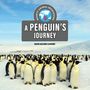 David Lavender: A Penguin's Journey, Buch