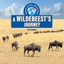 David Lavender: A Wildebeest's Journey, Buch