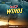 „Weird Weather: Wild Winds“ steht auf einem stürmischen Hintergrund mit Tornado und dunklen Wolken. Darunter der Name Joanne Mattern.