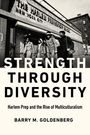 Barry M Goldenberg: Strength Through Diversity, Buch