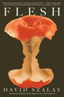 David Szalay: Flesh, Buch