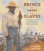 N H Senzai: Prince Among Slaves, Buch