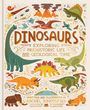 Rachel Ignotofsky: Dinosaurs, Buch