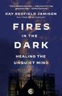 Kay Redfield Jamison: Fires in the Dark, Buch