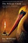 "The Pelican Child" von Joy Williams, Illustration: Pelikan mit brennender Kerze vor braunem Hintergrund.