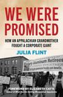 Julia Flint: We Were Promised, Buch