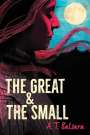 A T Balsara: The Great & the Small, Buch