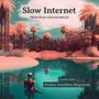 Corin Ism: Slow Internet, Buch