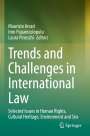 : Trends and Challenges in International Law, Buch