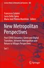 : New Metropolitan Perspectives, Buch,Buch,Buch