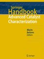 : Springer Handbook of Advanced Catalyst Characterization, Buch