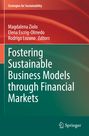 : Fostering Sustainable Business Models through Financial Markets, Buch