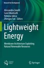 : Lightweight Energy, Buch