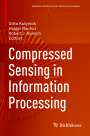 : Compressed Sensing in Information Processing, Buch