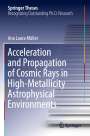 Ana Laura Müller: Acceleration and Propagation of Cosmic Rays in High-Metallicity Astrophysical Environments, Buch
