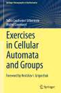 Tullio Ceccherini-Silberstein: Exercises in Cellular Automata and Groups, Buch
