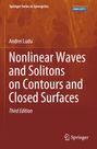 Andrei Ludu: Nonlinear Waves and Solitons on Contours and Closed Surfaces, Buch