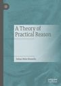 Julian Nida-Rümelin: A Theory of Practical Reason, Buch