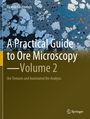 Ricardo Castroviejo: A Practical Guide to Ore Microscopy¿Volume 2, Buch
