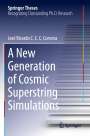 José Ricardo C. C. C. Correira: A New Generation of Cosmic Superstring Simulations, Buch