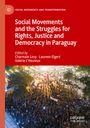 : Social Movements and the Struggles for Rights, Justice and Democracy in Paraguay, Buch