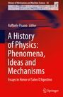 : A History of Physics: Phenomena, Ideas and Mechanisms, Buch