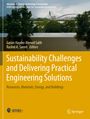 : Sustainability Challenges and Delivering Practical Engineering Solutions, Buch