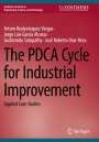 Arturo Realyvásquez Vargas: The PDCA Cycle for Industrial Improvement, Buch