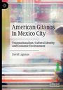 David Lagunas: American Gitanos in Mexico City, Buch