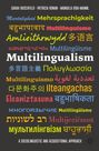 Sarah Buschfeld: Multilingualism, Buch
