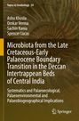 Ashu Khosla: Microbiota from the Late Cretaceous-Early Palaeocene Boundary Transition in the Deccan Intertrappean Beds of Central India, Buch