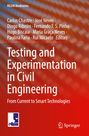 : Testing and Experimentation in Civil Engineering, Buch