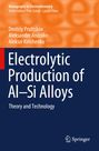 Dmitriy Pruttskov: Electrolytic Production of Al¿Si Alloys, Buch