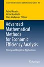 : Advanced Mathematical Methods for Economic Efficiency Analysis, Buch