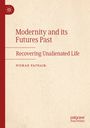 Nishad Patnaik: Modernity and its Futures Past, Buch