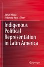 : Indigenous Political Representation in Latin America, Buch