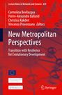: New Metropolitan Perspectives, Buch