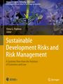 : Sustainable Development Risks and Risk Management, Buch