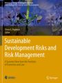 : Sustainable Development Risks and Risk Management, Buch