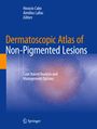 : Dermatoscopic Atlas of Non-Pigmented Lesions, Buch